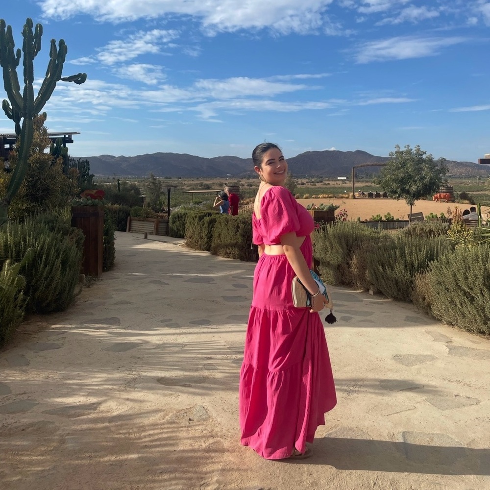 Amari pink maxi dress cut out